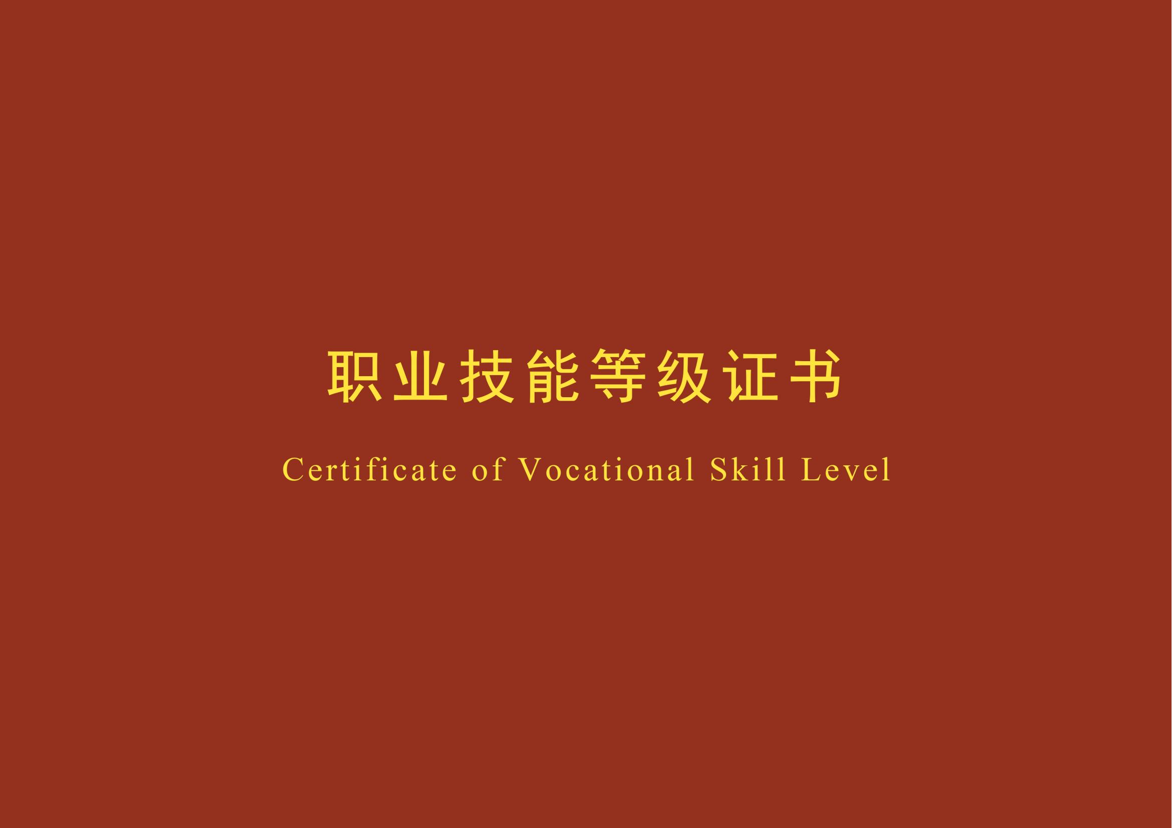 Vocational Skill Level Certificate (Junior) Student (Cover)