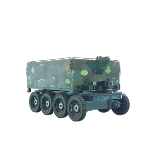 Companion Transportation Robot