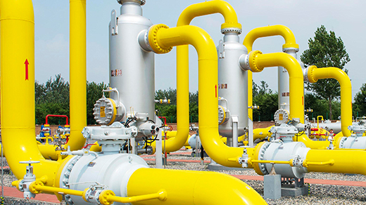 A certain chemical plant